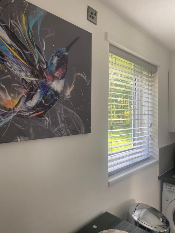 Cosy Studio Apartment วอเตอร์ลูวิลล์ ภายนอก รูปภาพ